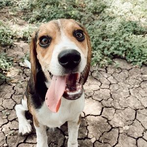 Meet your Posher, Annabella